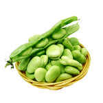 蚕豆