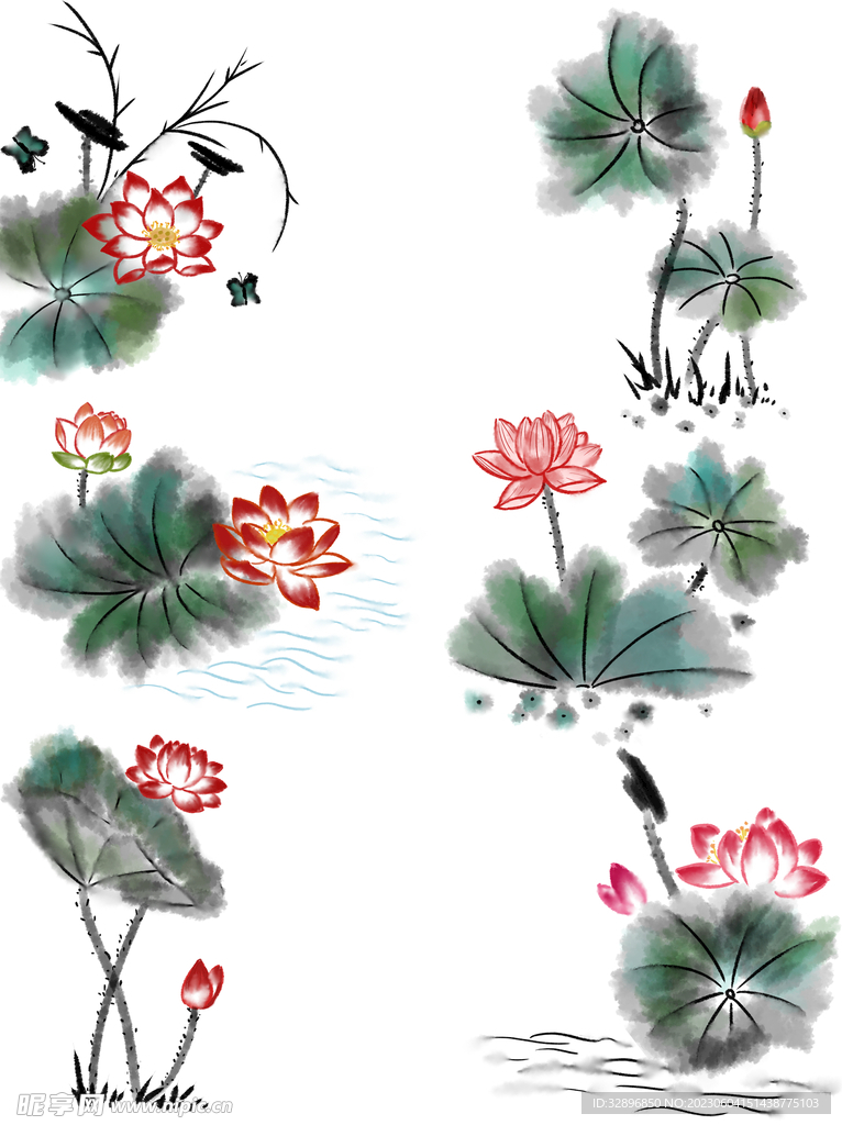 荷花