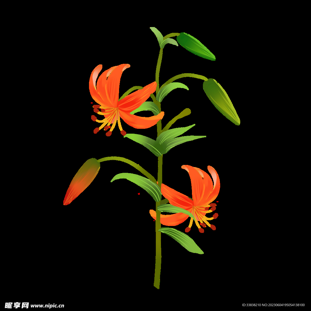 花卉