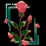 花卉 