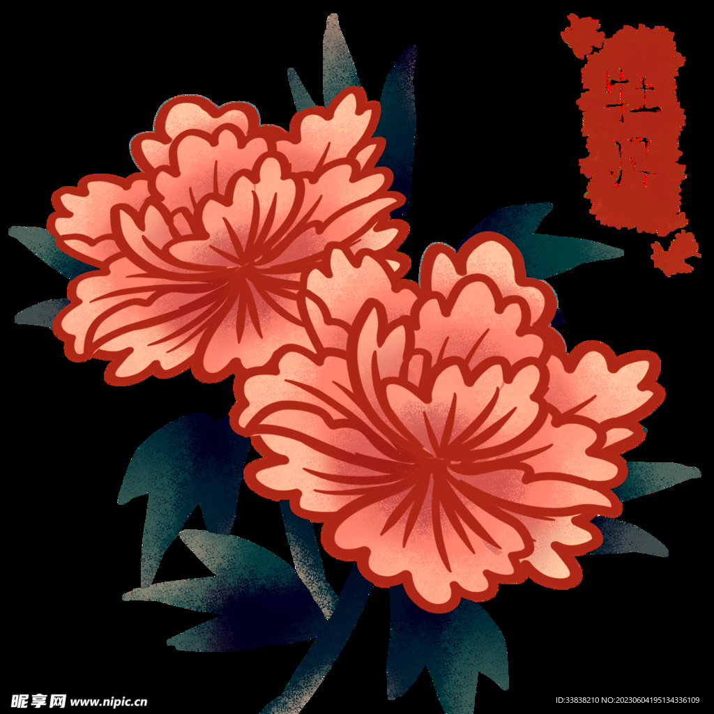 植物