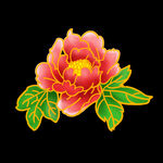 牡丹花