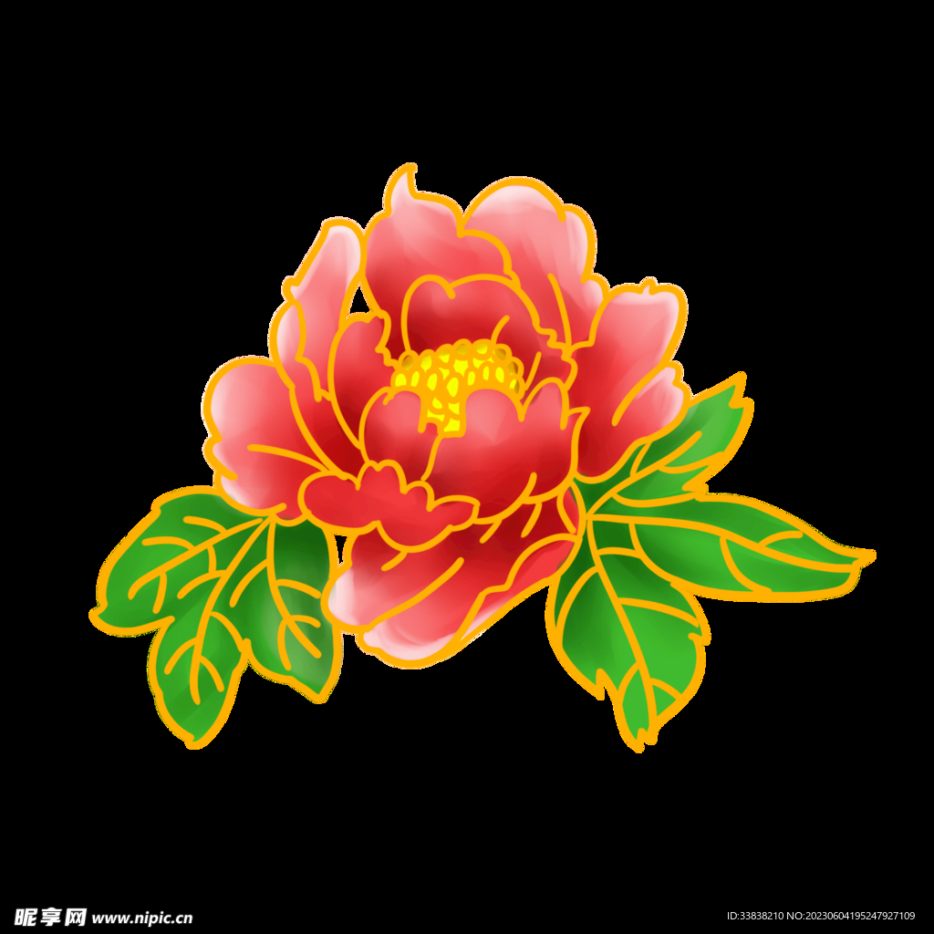 牡丹花