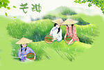 芒种