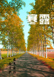 树林