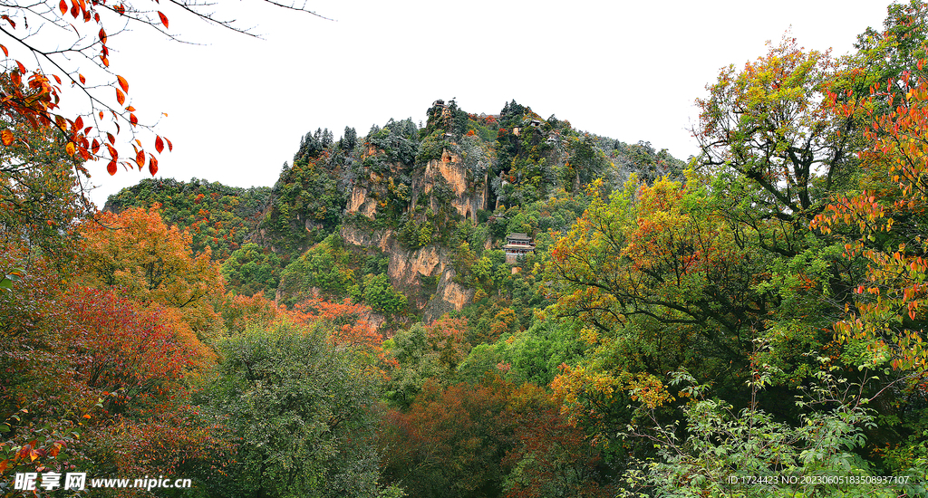 秋景  山