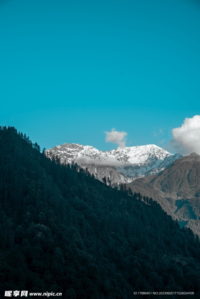 山林