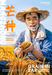 芒种海报