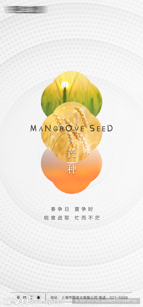 芒种节气