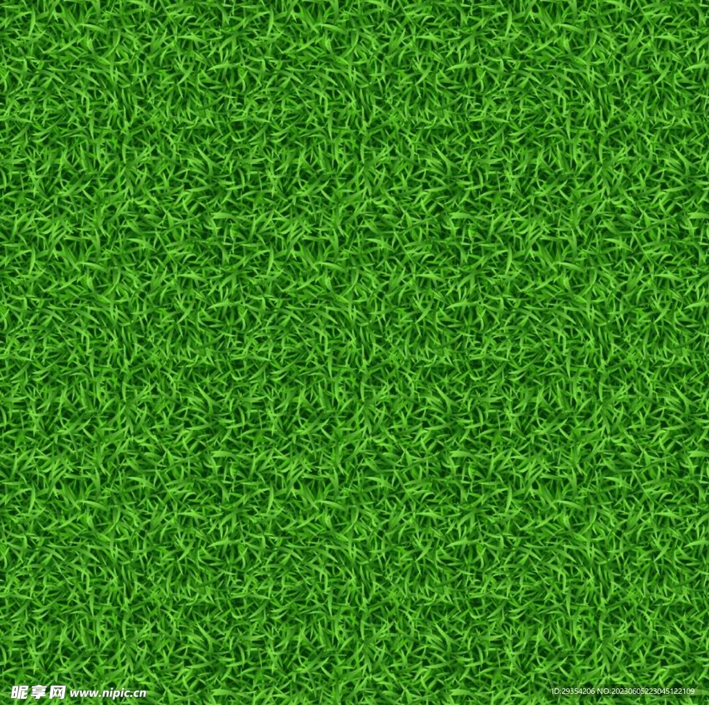 矢量绿草皮图片