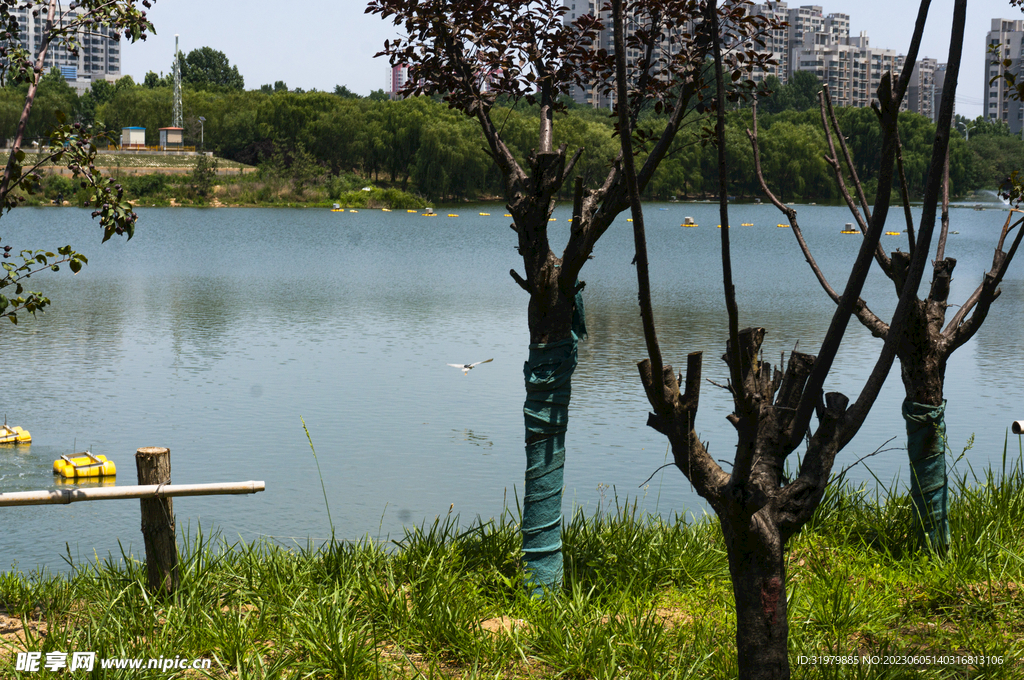 长清北大沙河