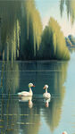 宁静的湖面有三只白色小鸭子，湖水清澈，荷花，垂柳，夏天的气息