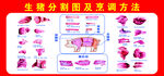 猪肉分割图