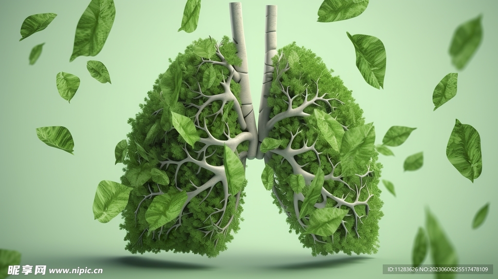 绿色植物肺