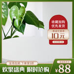 绿植主图