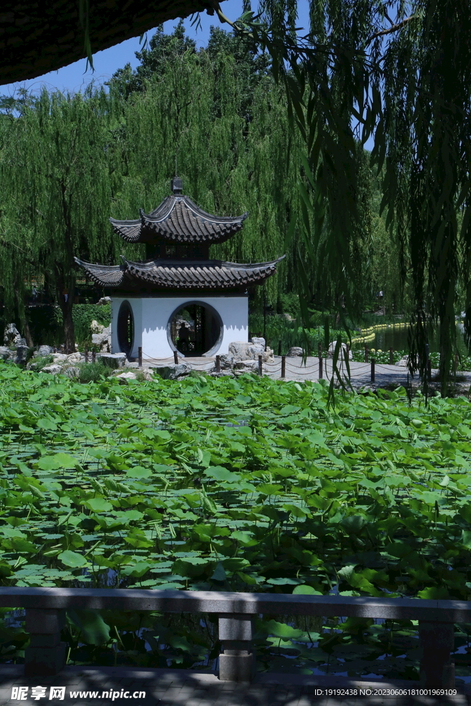 陶然亭风景