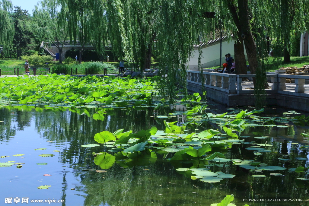 陶然亭风景  