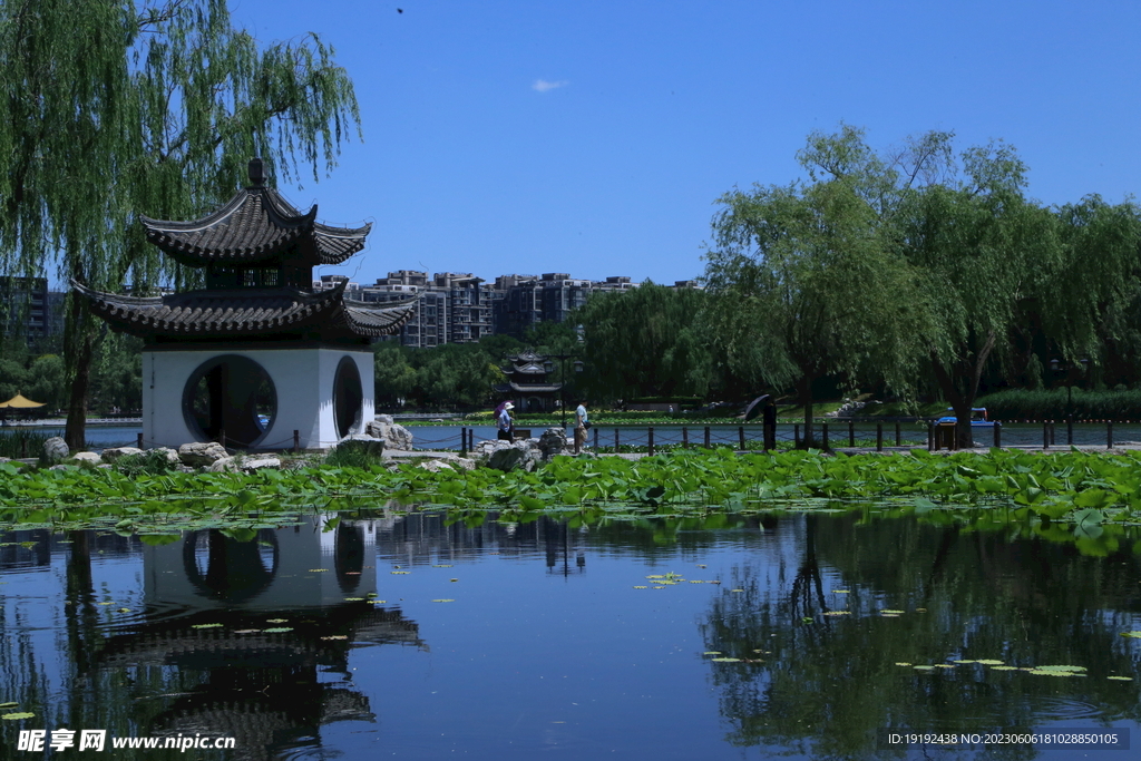 陶然亭风景