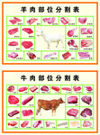 牛肉羊肉分割图