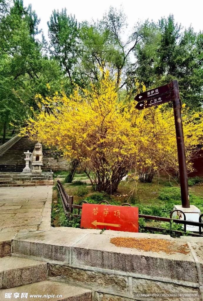 公园