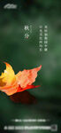 节气地产秋分