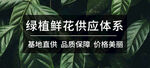 banner 首页图