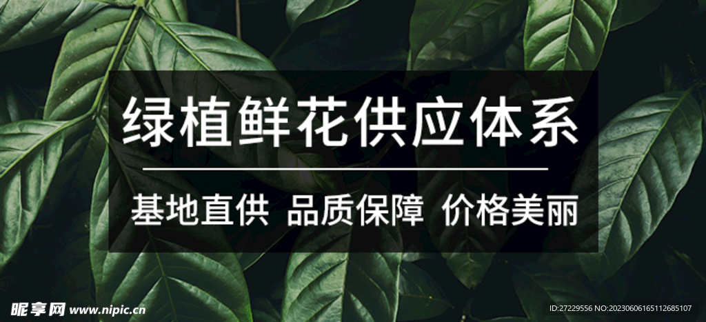 banner 首页图