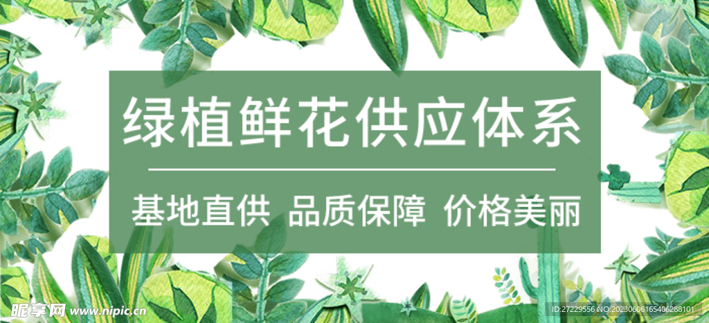 banner 首页图