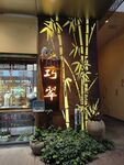 绿植花卉