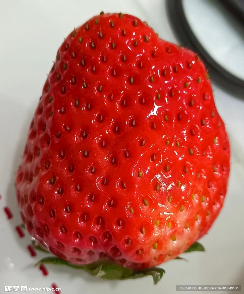 草莓