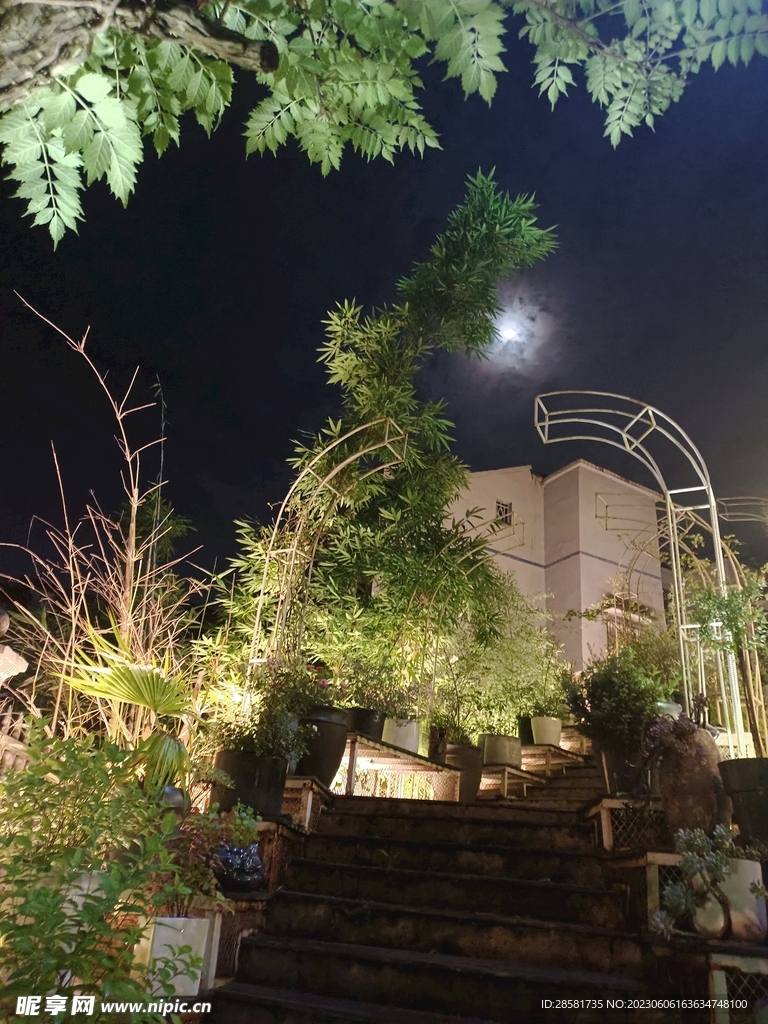 夜景