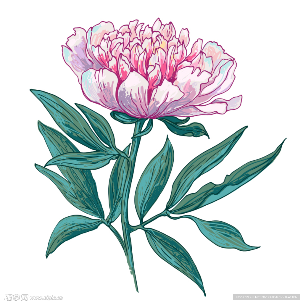 水彩花卉
