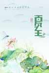  夏至海报