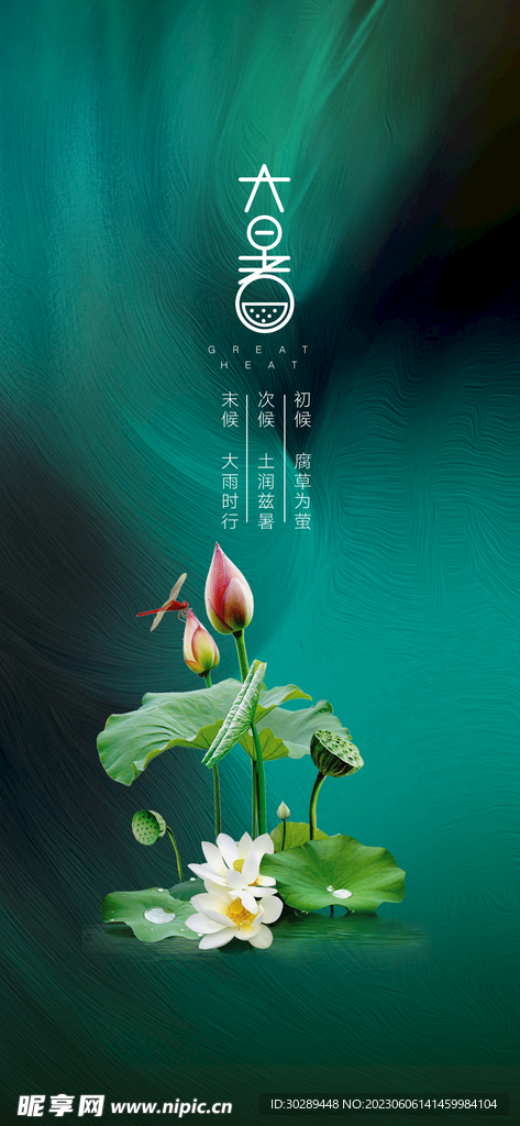 大暑海报