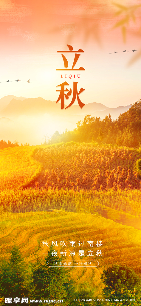   立秋海报