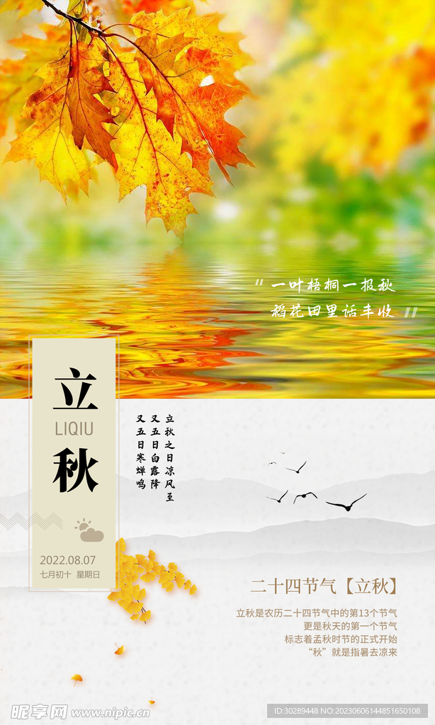  立秋海报