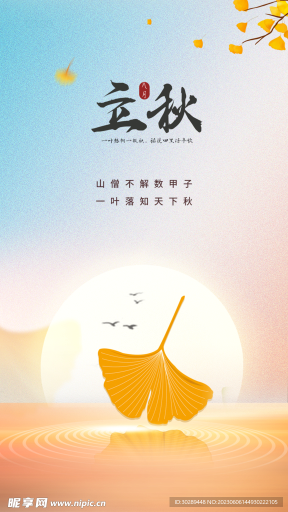 立秋海报