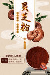 灵芝粉海报