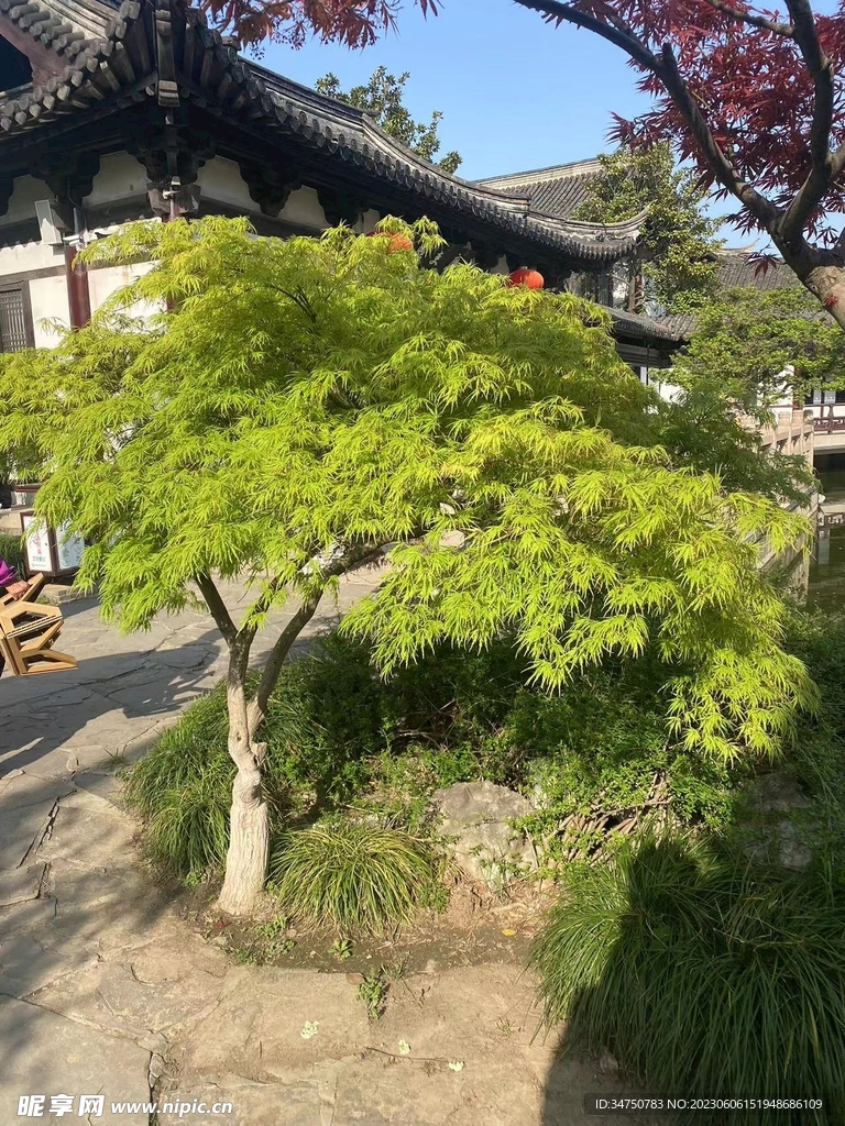 公园