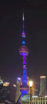 东方明珠夜景