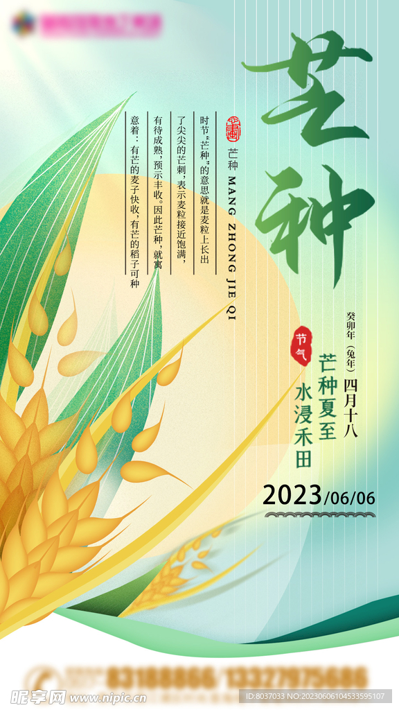 芒种节日海报