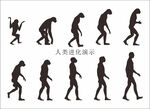 人类进化演示