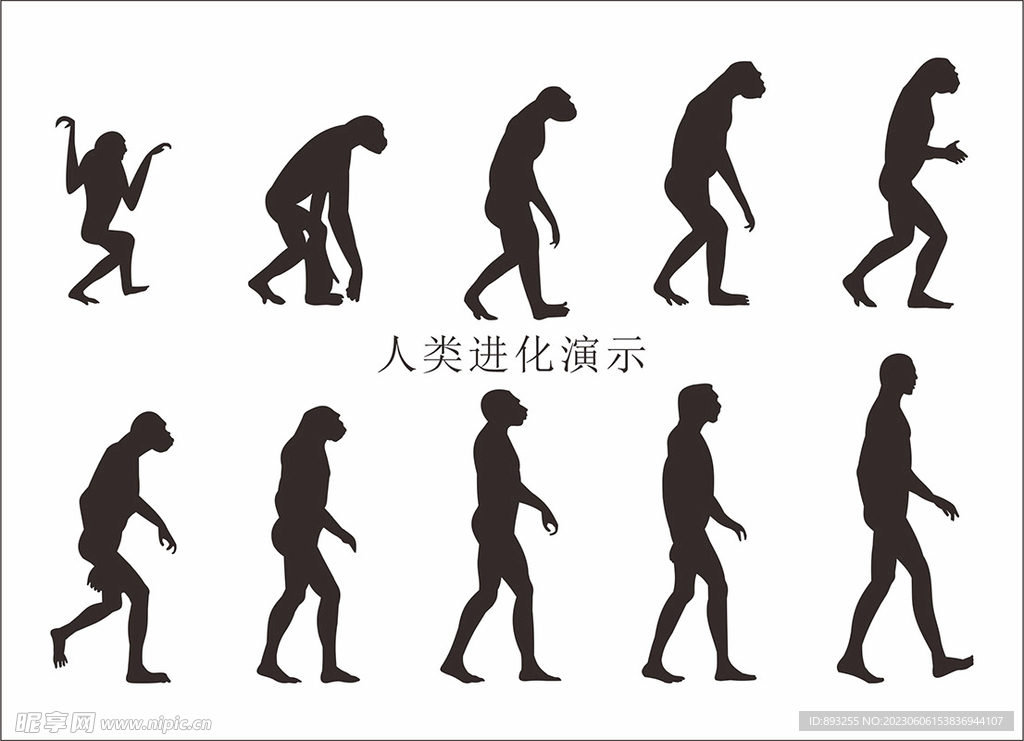 人类进化演示