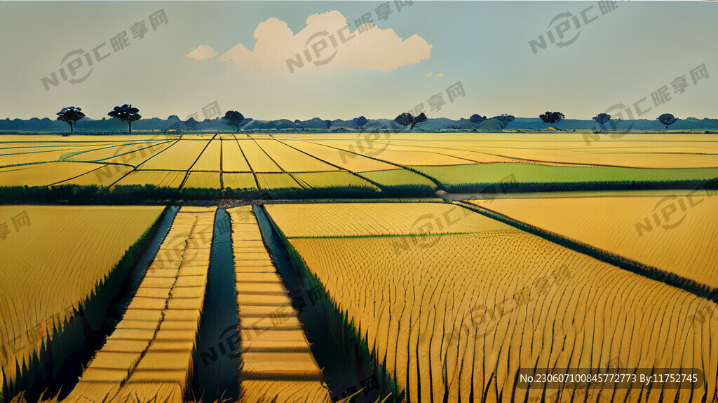 大沙田长满丰收的水稻俯视图油画