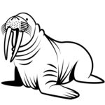 海狮