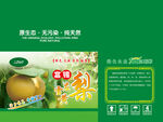 黄金梨