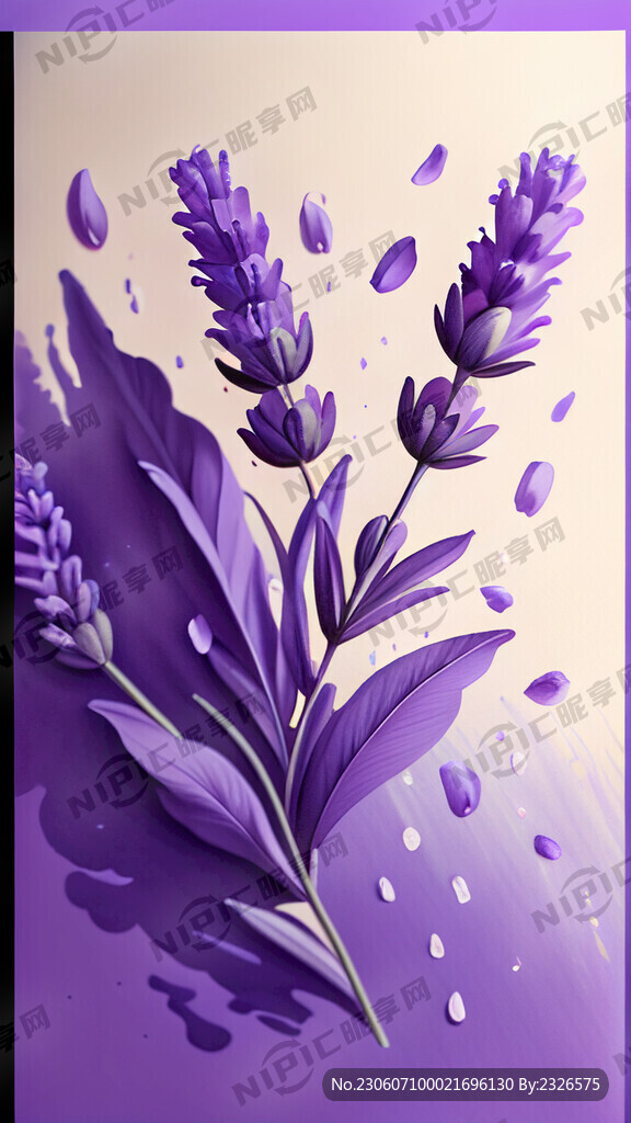 细节刻画 沐浴在花瓣里薰衣草