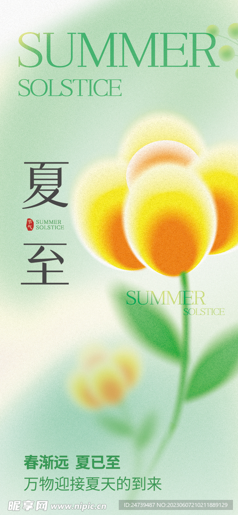 夏至海报