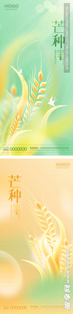 芒种海报