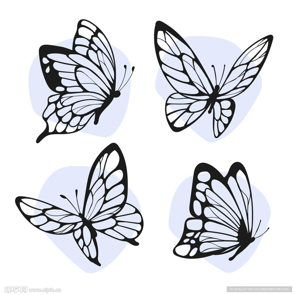 蝴蝶创意插图